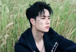 吃瓜爆料王一博杨洋,娱乐圈的甜蜜邂逅